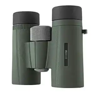 Kowa fernglas kowa bd ii 6 5x32 xd ed fernglas