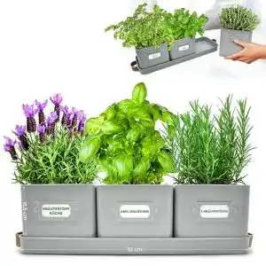 Kraeutertopf green thumbz 3 stk kraeutertoepfe