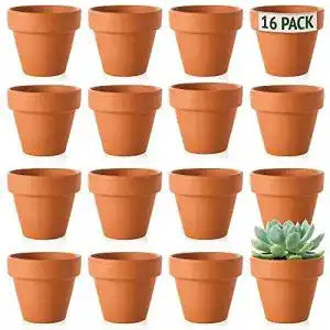 Kraeutertopf green thumbz kleine tontoepfe