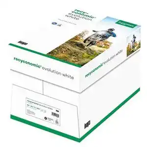 Recyclingpapier inapa druckerpapier recyconomic 1