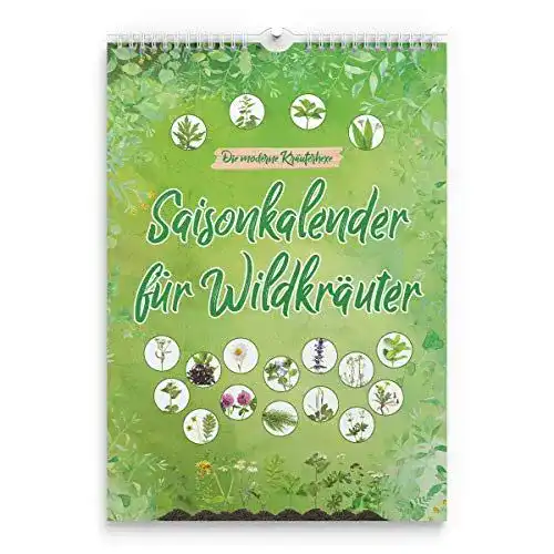 Saisonkalender für Wildkräuter und Erntekalender für Wildpflanzen