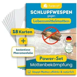 Schlupfwespen gegen motten futeco schlupfwespen