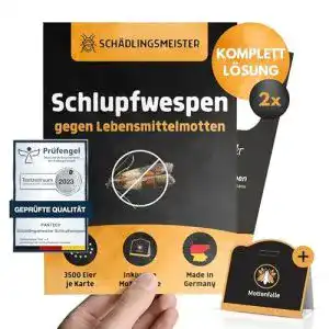 Schlupfwespen gegen motten panteer schlupfwespen