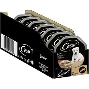 Welpen nassfutter cesar hundefutter nassfutter junior fuer welpen