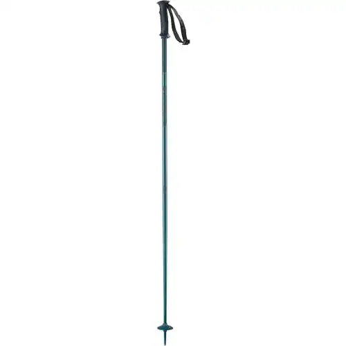 Skistöcke Salomon Arctic Unisex für Skitouren 110 cm