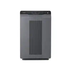 216vM xvJjL. SL500 
