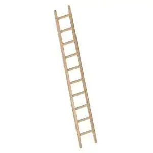 Holzleiter Layher Bau-Holzanlegeleiter mit 10 Sprossen