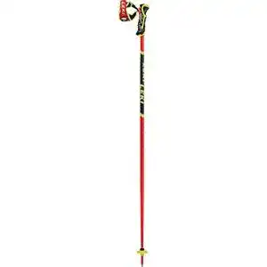 21ISpyRjP3L. SL500 