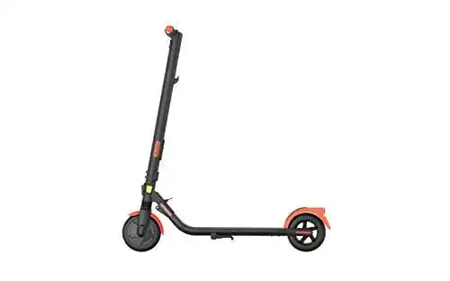 Segway-Ninebot ES1LD Elektroroller mit Straßenzulassung für Erwachsene