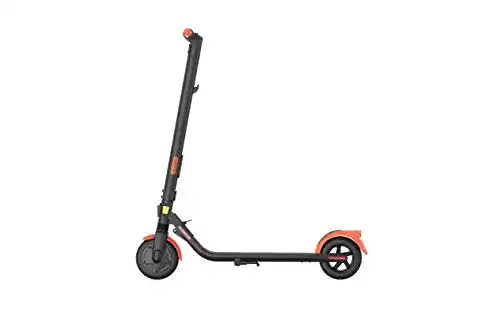 Segway-Ninebot ES1LD Elektroroller mit Straßenzulassung für Erwachsene