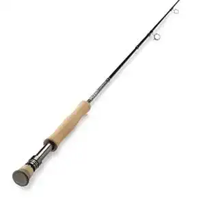 21tsf6LoTBL. SL500 
