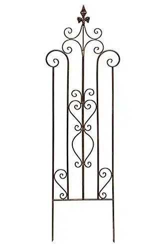 Rankgitter aus Metall als Rankhilfe für Schwertlilien im Garten