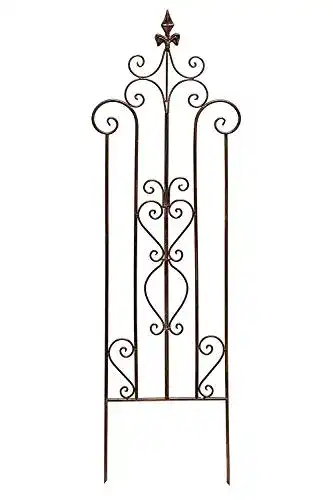 Rankgitter aus Metall als Rankhilfe für Schwertlilien im Garten
