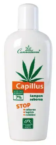 Hanf-Shampoo von Cannabis-Cosmetics zur Behandlung der Kopfhaut
