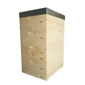 Bienenstock Apiformes Langstroth 2/3 aus Weymouthskiefer