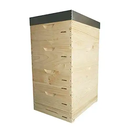 Bienenstock Apiformes Langstroth 2/3 aus Weymouthskiefer