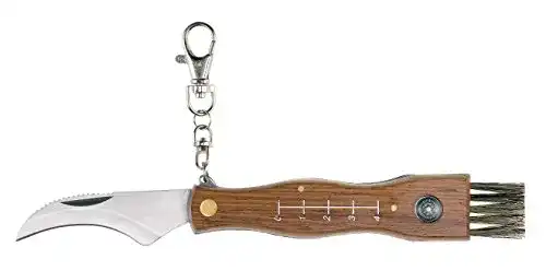 Pilzmesser Ausonia 26300 in Braun mit Klingenstahl