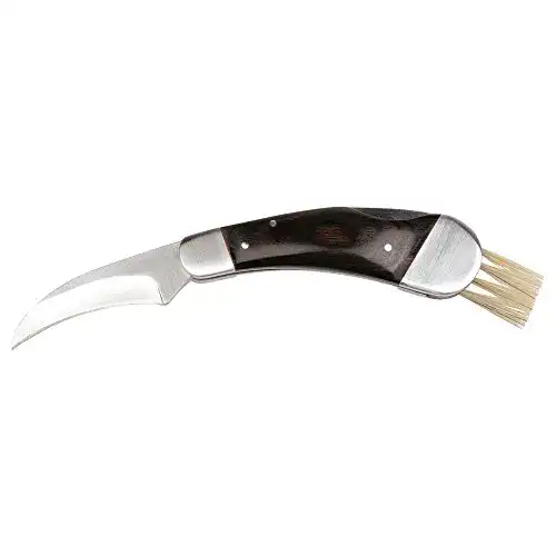 Pilzmesser Schwarzwolf Outdoor mit Bürste und Neoprentasche