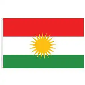 316kEXfJqnL. SL500 