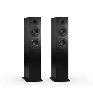 Nubert Lautsprecher nuBoxx B-60 in Schwarz Standlautsprecher für Heimkino