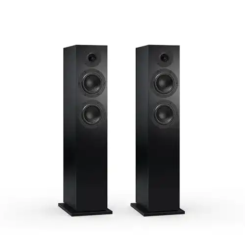 Nubert Lautsprecher nuBoxx B-60 in Schwarz Standlautsprecher für Heimkino