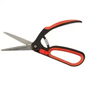 Buchsbaumschere Meister, rostfrei für präzise Gartenarbeit