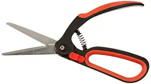 Buchsbaumschere Meister, rostfrei für präzise Gartenarbeit