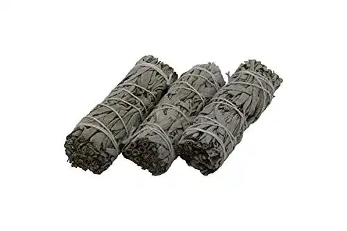 Weißer Salbei Scentolino, 3 Bündel à ca. 11 cm, ca. 100 g aus Kalifornien