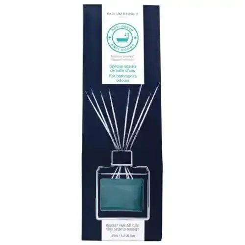 Raumduft Lampe Berger Duftbouquet Cube Anti Badezimmergerüche 125 ml