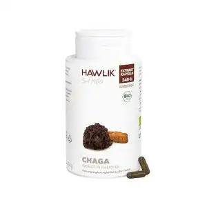 Chaga-Pilz Hawlik Vitalpilze Chaga Extrakt Kapseln – 240 Kapseln