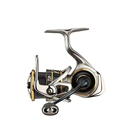 Daiwa 20 Airity LT 1000D Spinnrolle für Ultraleicht-Spinnfischen