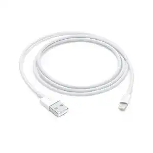 Lightning-Kabel Apple Lightning auf USB Kabel (1 m)