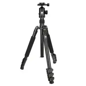 31EWetik3uL. SL500 