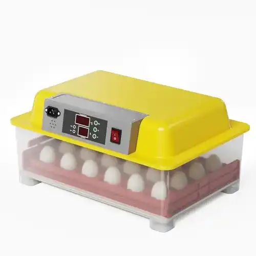 Vollautomatische Brutmaschine für 24 Eier Wiltec Brutapparat