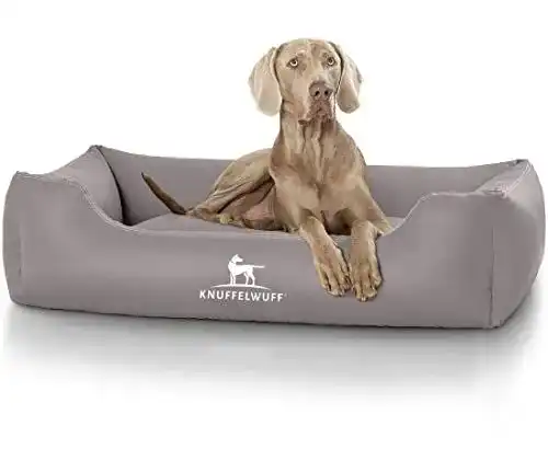 Hundebett Knuffelwuff Kunstleder Sidney für Hunde in verschiedenen Größen