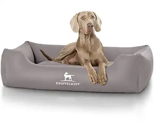 Hundebett Knuffelwuff Kunstleder Sidney für Hunde in verschiedenen Größen