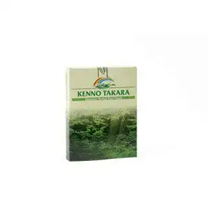 Detox-Fußpflaster Kenno Takara Original aus Japan