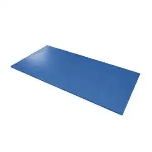 Airex Hercules Gymnastikmatte für Rehabilitation und Physiotherapie