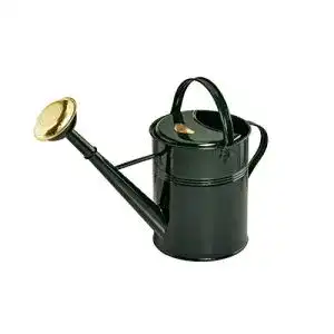Gießkanne 10 Liter von Garden Tool Brothers im British Style