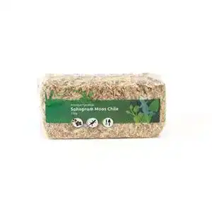 Sphagnum-Moos