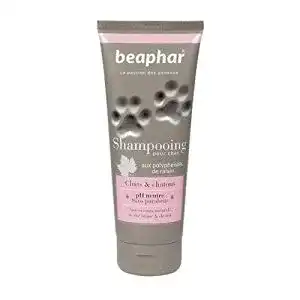 Katzenshampoo Beaphar für gesunde Fellpflege