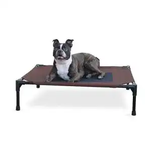 Hundeliege K&H Pet Products für Haustiere – Erhöhtes Kühlbett