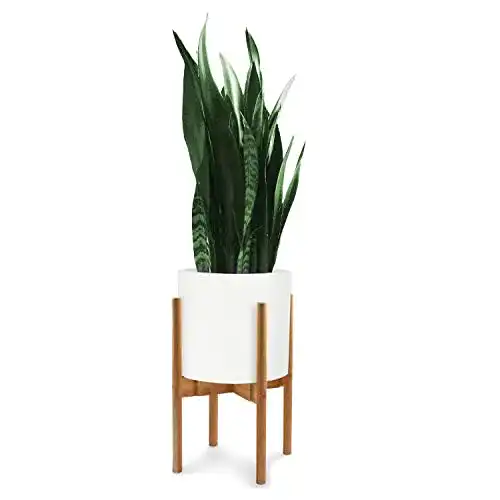 Blumenständer Fox & Fern verstellbar M aus Bambus