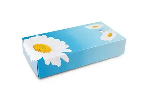 Taschentuchbox Funny – 2-lagige Kosmetikbox mit 100 Tüchern pro Box