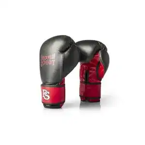 Boxhandschuhe 10 oz Paffen Sport Allround ECO für das Training