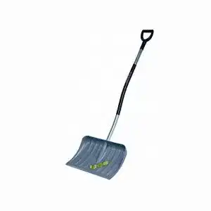 31QFHL6uvEL. SL500 