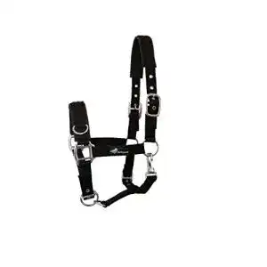 Kappzaum JF-Reitsport Unisex Erwachsene Nylonhalter mit Fleeceunterlage