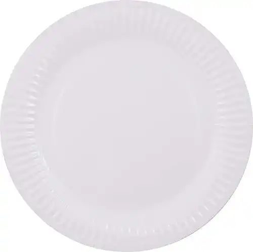 Pappteller Pritogo Ø 23 cm, 100 Stück, 300 g/m², kompostierbar