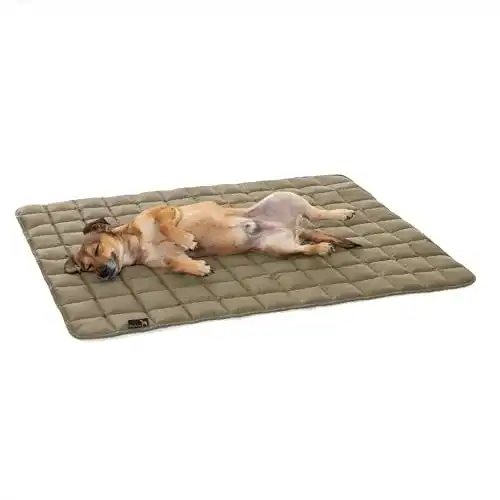 Hundedecke Pointer 80 x 60 cm – Gepolstert und strapazierfähig