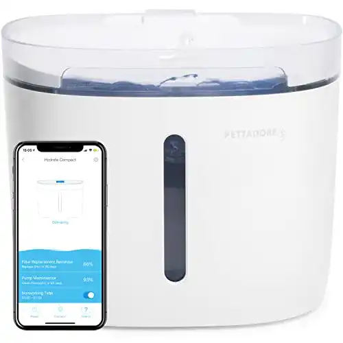 Katzenbrunnen Pettadore Hydrate Compact mit App-Steuerung und Filtersystem